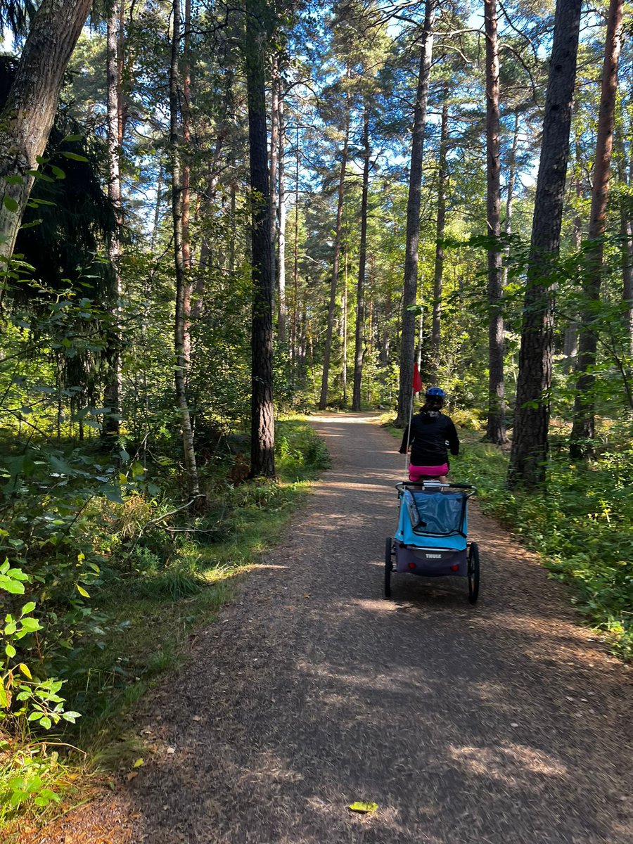 Gabriela Montejo-Kovacevich 🇪🇺 (@gmkov) on Twitter photo 150 extractions of Euphydryas editha (by wonderful RA Christina Panagaki) ✅
Seen amazing talks (Mark Kirkpatrik, Zach Gompert) and PhD defence (<a href="/JesperBoman/">Jesper Boman</a>) ✅
Fallen in love with Uppsala ✅
First two weeks as a PI at <a href="/AnimEcol_UU/">Animal Ecology Uppsala</a> <a href="/scilifelab/">SciLifeLab</a> and feeling chuffed! 😁 150 extractions of Euphydryas editha (by wonderful RA Christina Panagaki) ✅
Seen amazing talks (Mark Kirkpatrik, Zach Gompert) and PhD defence (<a href="/JesperBoman/">Jesper Boman</a>) ✅
Fallen in love with Uppsala ✅
First two weeks as a PI at <a href="/AnimEcol_UU/">Animal Ecology Uppsala</a> <a href="/scilifelab/">SciLifeLab</a> and feeling chuffed! 😁