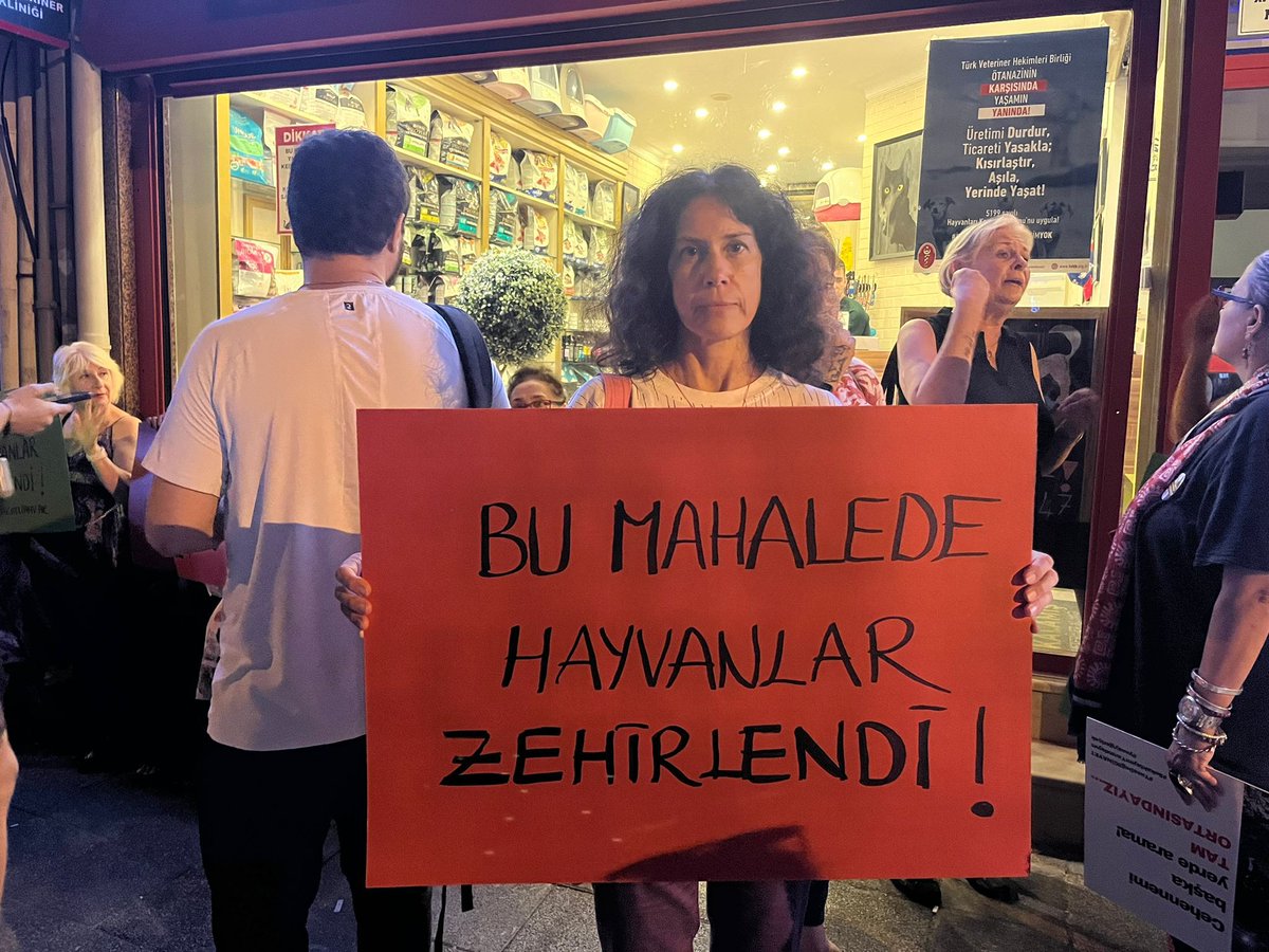 Caferağa Mahallesi Hayvan Dostları 🐾 tweet media