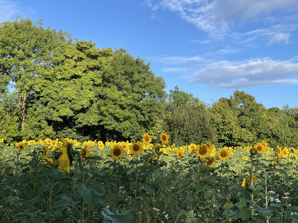 MickletonGlos's tweet image. #Mickleton