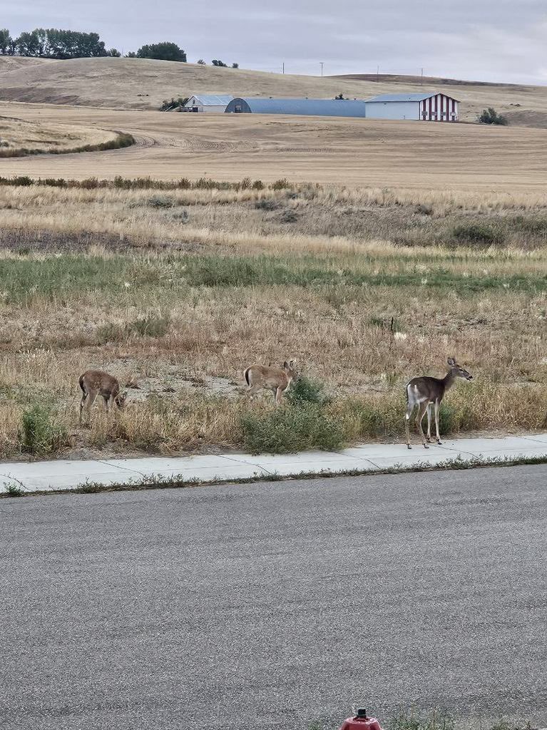 City living in Saskatchewan…