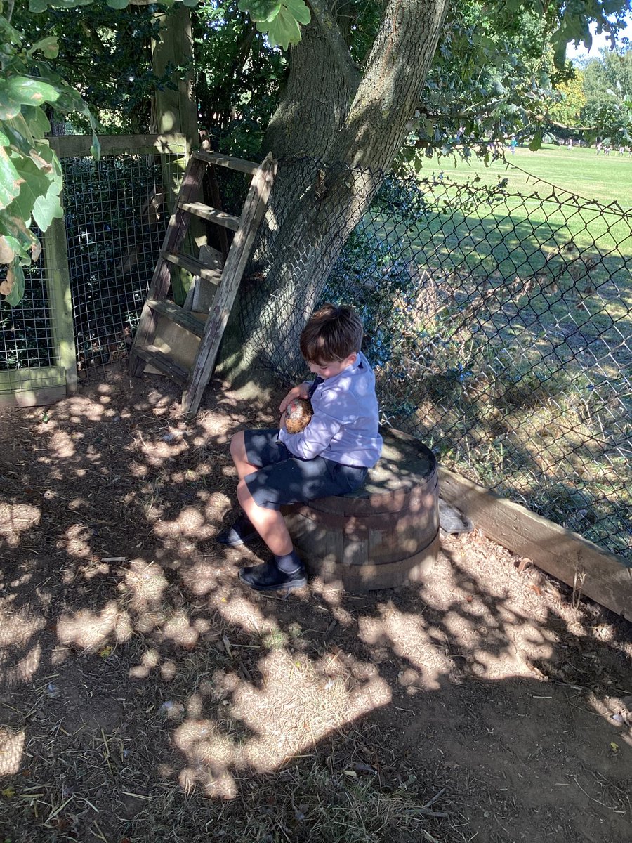 YH_SmallHolding's tweet image. Starting off the week right with some Donkey Downtime #smallholding #MentalHealthMonday #MentalHealthMatters @YorkHouseSch