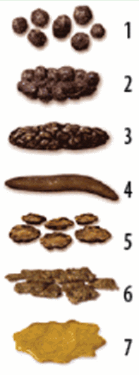 Poop Tracker uses the Bristol Stool Scale and other metrics to create a medically relevant history of your stool quality.

Learn more about the app here:
poop-tracker.com

#ibd #ulcerativecolitis #crohns #ibs #inflammatoryboweldisease #digestivehealth