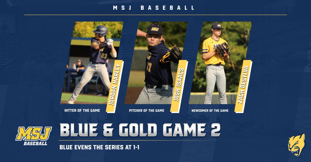 MSJ Baseball tweet media