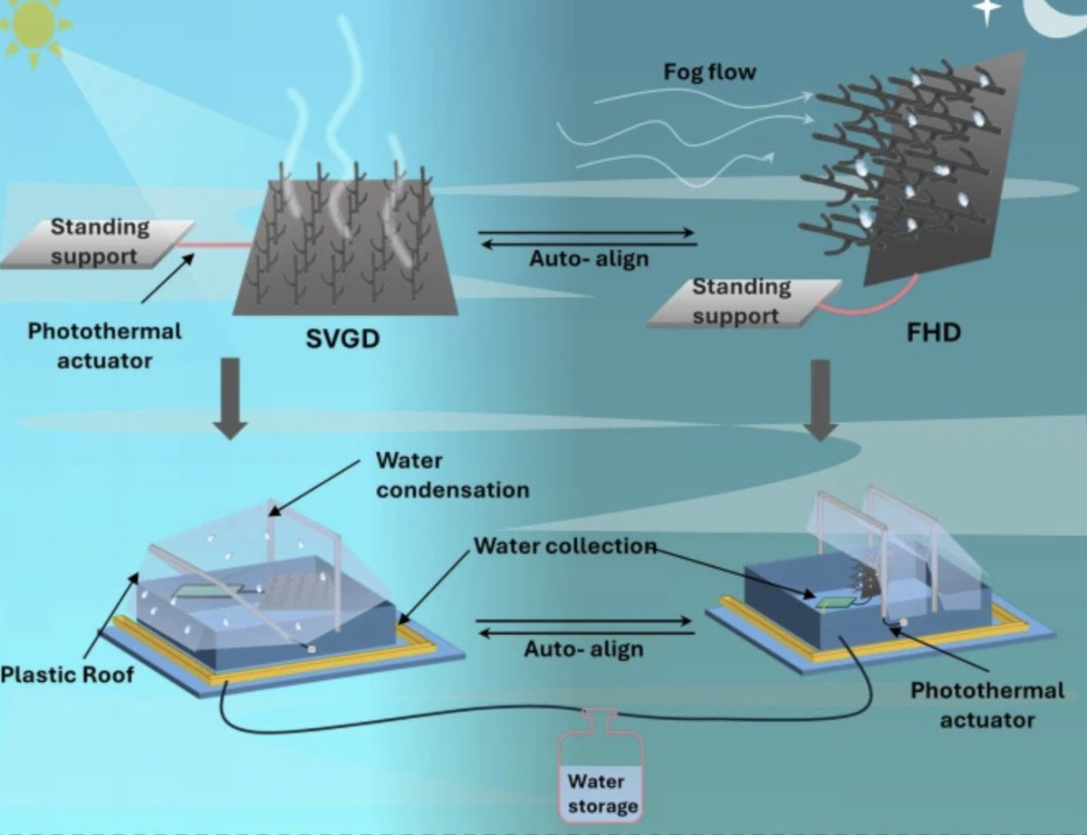 Pumera Research Group (@pumeragroup) on Twitter photo 🚰 Sustainable water harvesting! 🌱 3D printed 2D Ti3C2@Polymer-based artificial forest collects over 5.5 L/m² of freshwater daily. Powered by solar energy collets fog for continuous water supply. See our paper in <a href="/Nature_NPJ/">npj Journals</a> #Clean #Water
nature.com/articles/s4154… 🚰 Sustainable water harvesting! 🌱 3D printed 2D Ti3C2@Polymer-based artificial forest collects over 5.5 L/m² of freshwater daily. Powered by solar energy collets fog for continuous water supply. See our paper in <a href="/Nature_NPJ/">npj Journals</a> #Clean #Water
nature.com/articles/s4154…