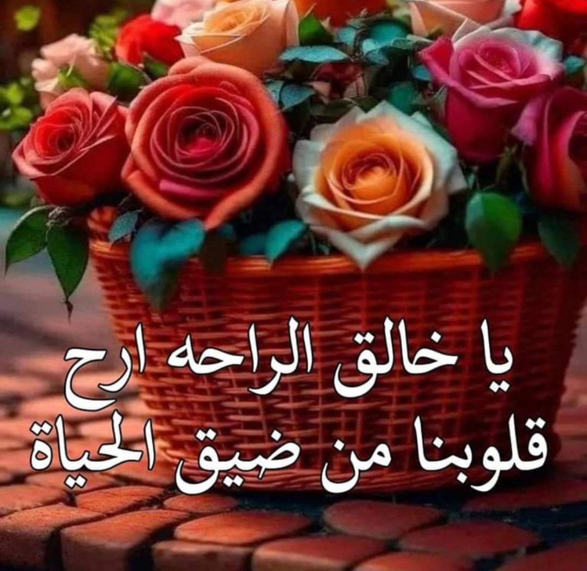 @Queen Larein💙🍒💙🤍 (@albaronh_12) on Twitter photo 