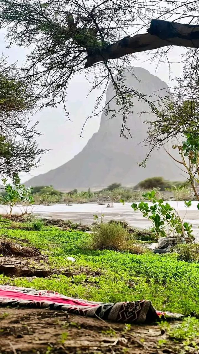 #تمنراست عقب الأمطار الأخيرة 😍😍