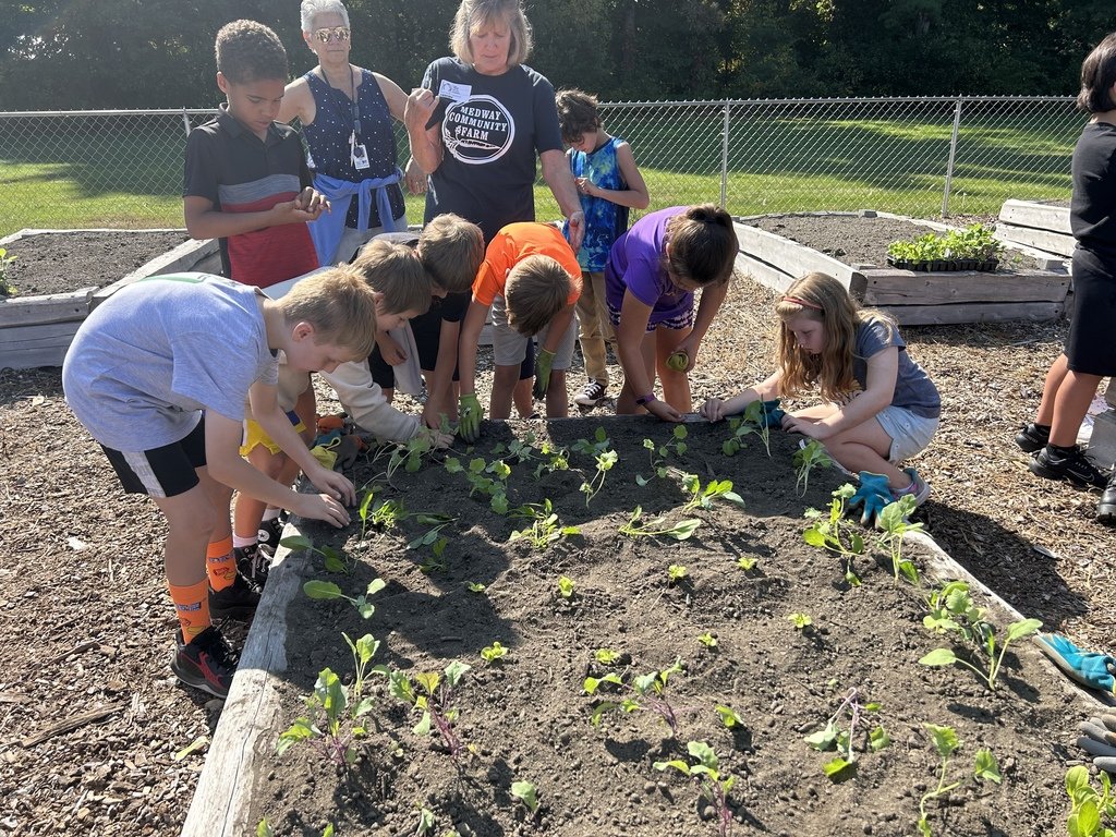 Burke-Memorial tweet media