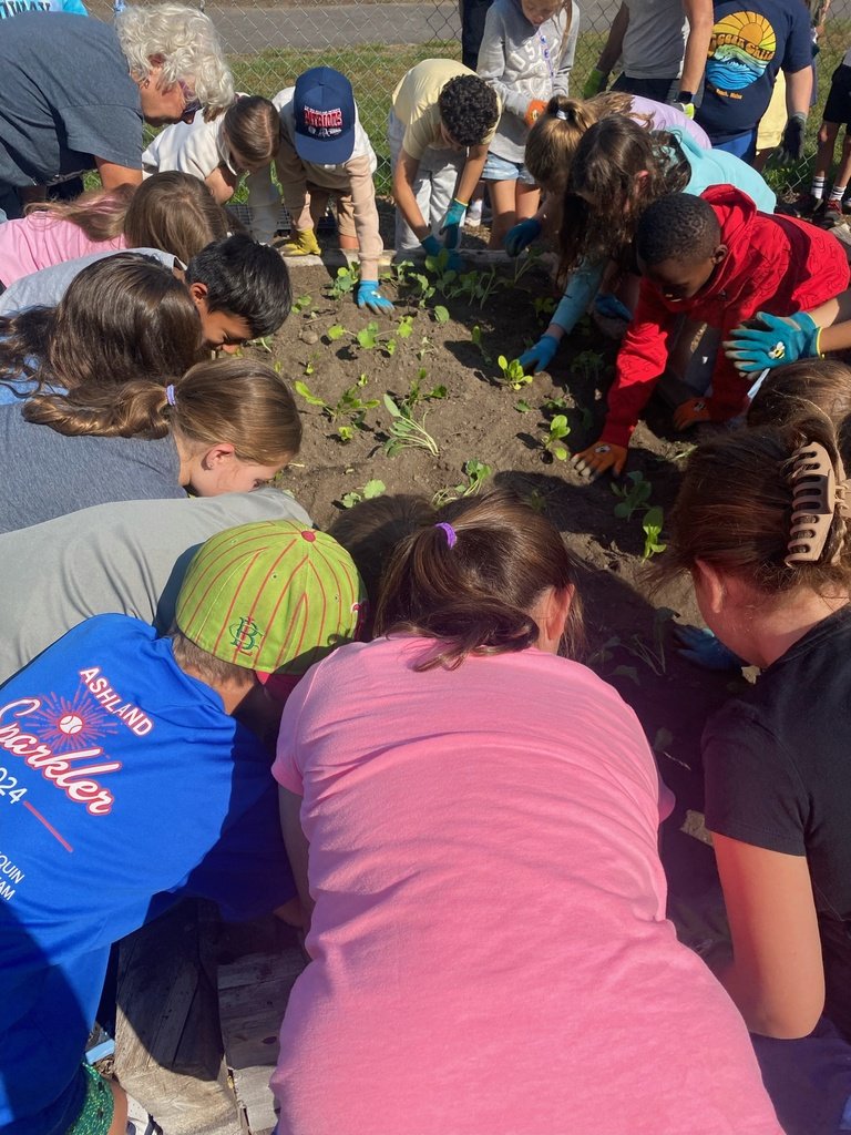 Burke-Memorial tweet media