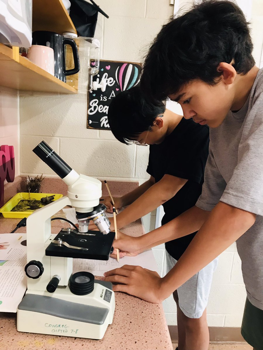 Gifted Group tweet media