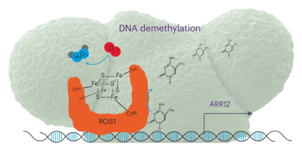Nature Chemical Biology tweet media