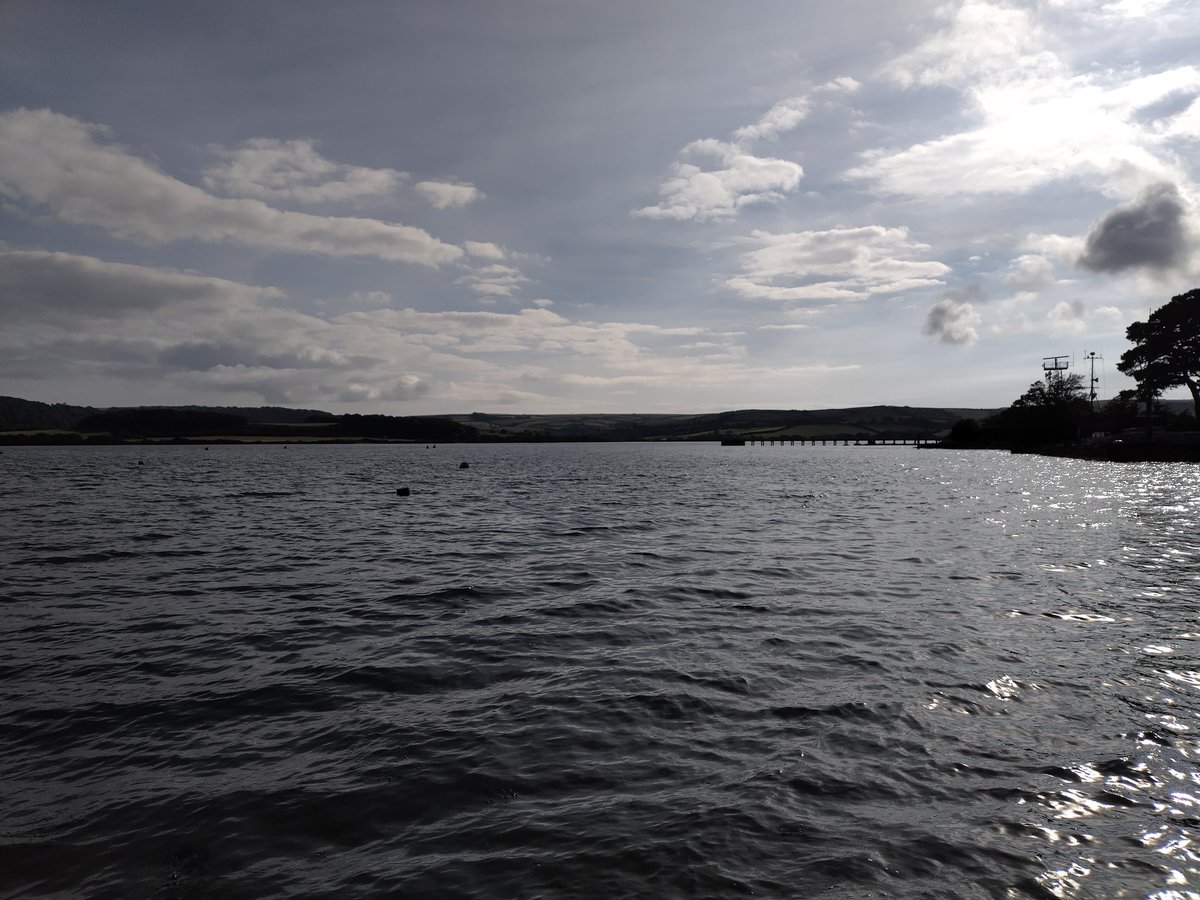 _RachelTurnbull's tweet photo. September #seabass expedition 2 day 1 @PlymUni! Tragically, no bass at Torpoint today, but plenty of mullet and sand smelt! #FHRU https://t.co/L5as63YE2G