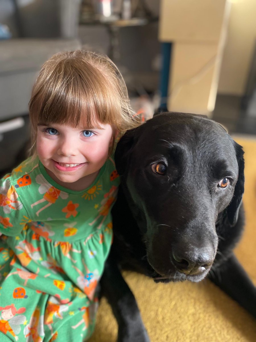 Boba, you were the best dog ever. Rest in peace my friend.