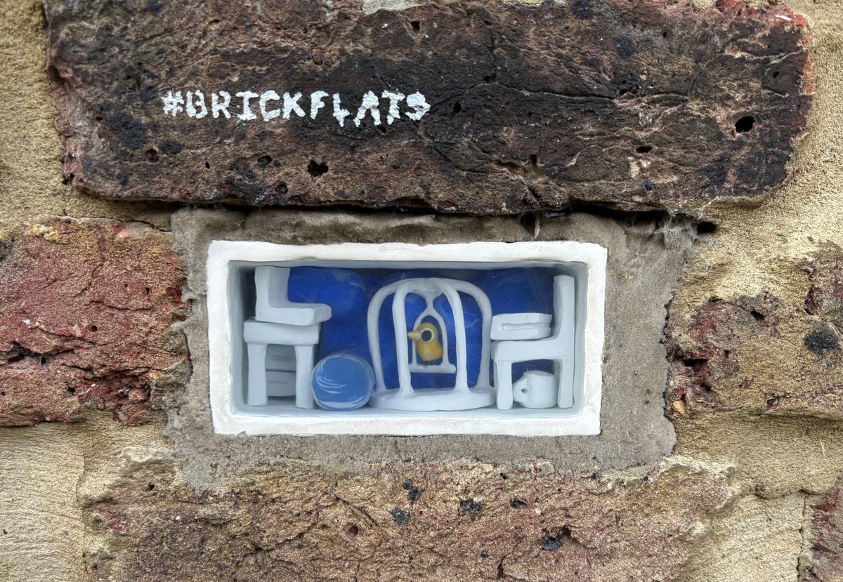 mattdaniel01's tweet photo. Obsessed with these @brickflats https://t.co/p5af9045GC