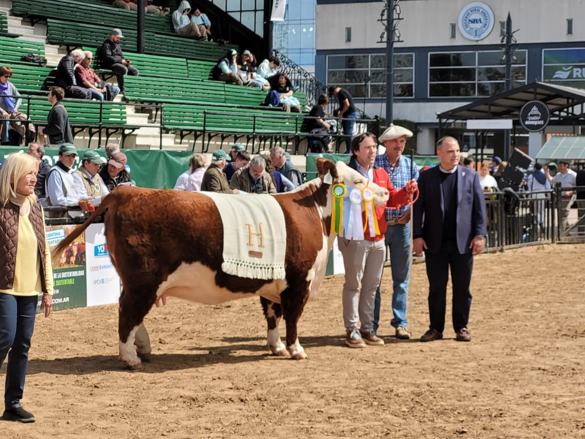 Ariel Pereda tweet media