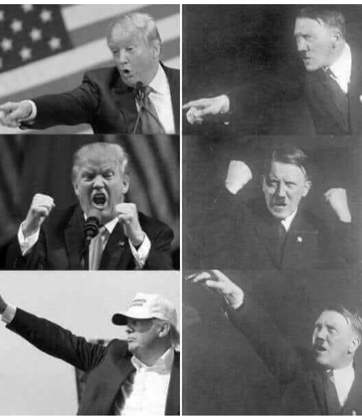 smc429's tweet photo. @realDonaldTrump Hi, Hitler. Did you get it word for word from his playbook!? https://t.co/QchtxeCGpd
