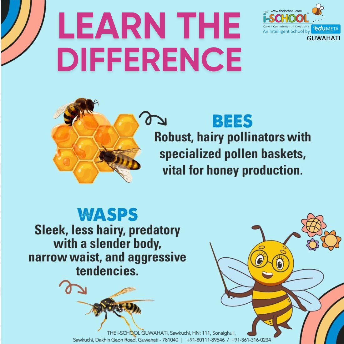 iSchoolGhy's tweet image. 🐝 Learn the Differences - #TuesdayTeaching 🐝

𝗕𝗲𝗲𝘀 𝗩𝘀. 𝗪𝗮𝘀𝗽𝘀

𝐀𝐩𝐩𝐞𝐚𝐫𝐚𝐧𝐜𝐞: Bees are fuzzy &amp;amp; round, Wasps are sleek &amp;amp; slender.
𝐃𝐢𝐞𝐭: Bees love nectar &amp;amp; pollen, Wasps prefer insects &amp;amp; spiders.
𝐁𝐞𝐡𝐚𝐯𝐢𝐨𝐫: Bees are gentle and Wasps are aggressive.