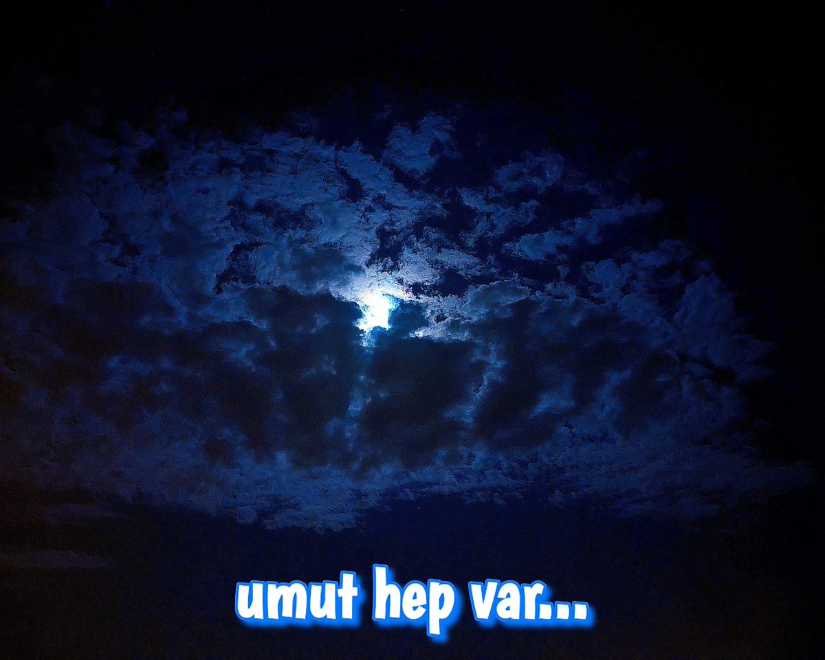 Cihan Devrim Avunduk (@_avundukzade_) on Twitter photo 