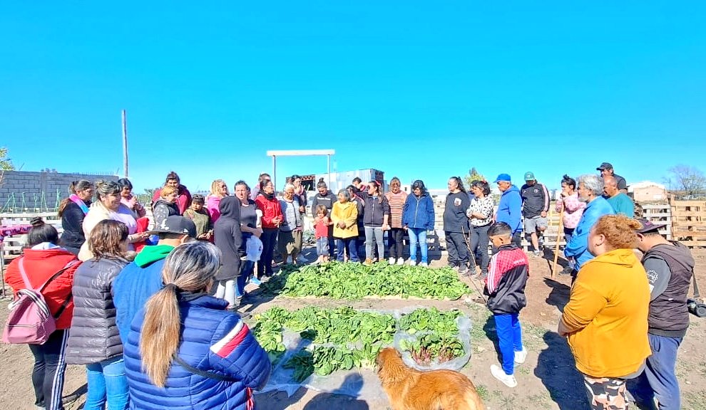 Val_Fabian's tweet photo. Hoy en la #HuertaComunitaria #ElPocho🌱 realizamos junto a los vecinos la segunda cosecha de #brocoli, #acelga, #espinaca,  #remolacha y #cebolla.

Ademas ya se comenzo a trabajar para colocar el riego por goteo💦, es increible lo que se esta logrando en esta huerta!💪

Desde el programa #HuertasDeLaCiudad🍅🥦🥬 del @MunicipioBahia vamos a seguir promoviendo el acceso a alimentos frescos, fomentar la conciencia sobre la sostenibilidad y el medio ambiente, mejorar la seguridad alimentaria, fortalecer los lazos sociales y proporcionar un espacio de aprendizaje sobre prácticas agrícolas sostenibles.

#EnEquipo🙌 #VillaNocito