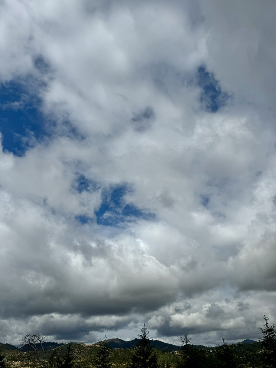 HJRamsay's tweet image. Finally a break in the weather! #coolertemps #feelslikefall 🍂🍁