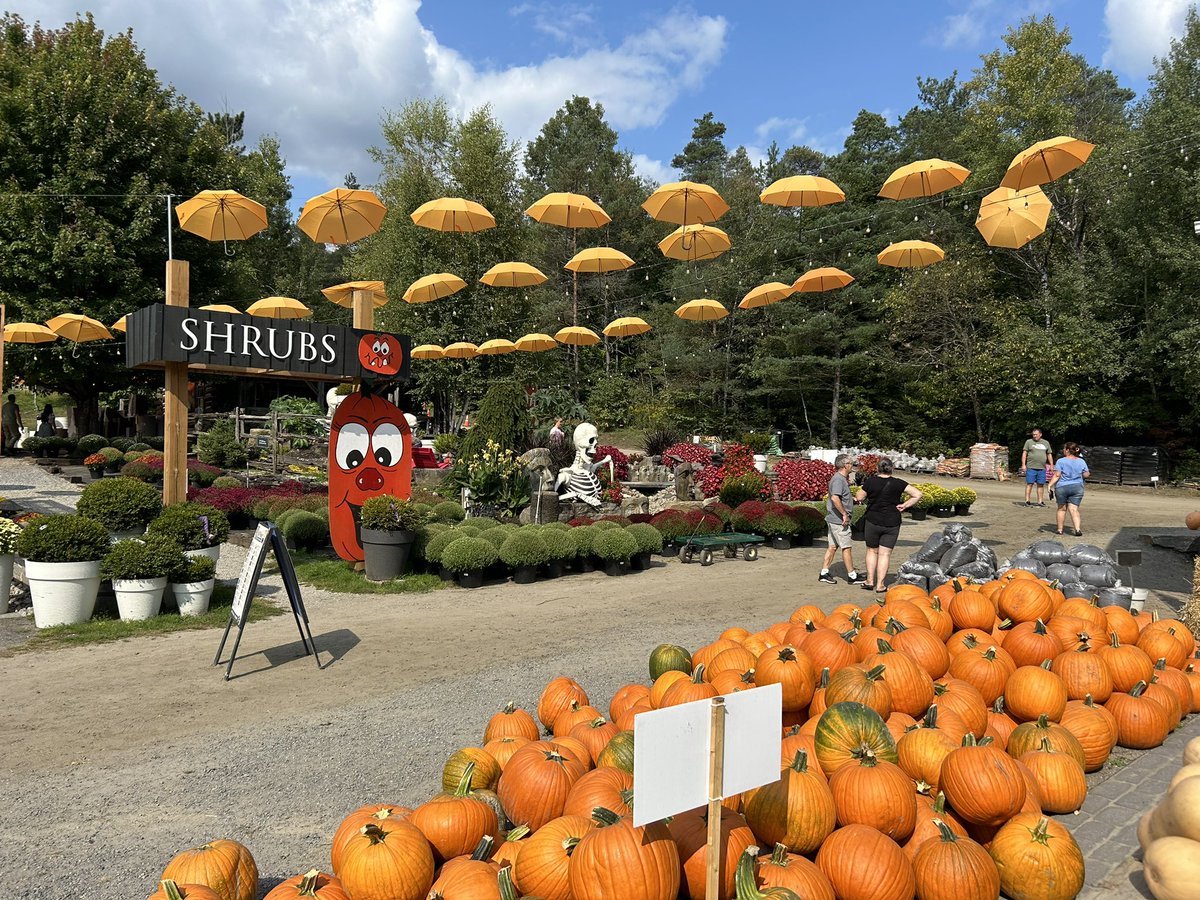 Ⓢⓣⓔⓟⓗ-ⓐⓝⓘⓔ tweet media