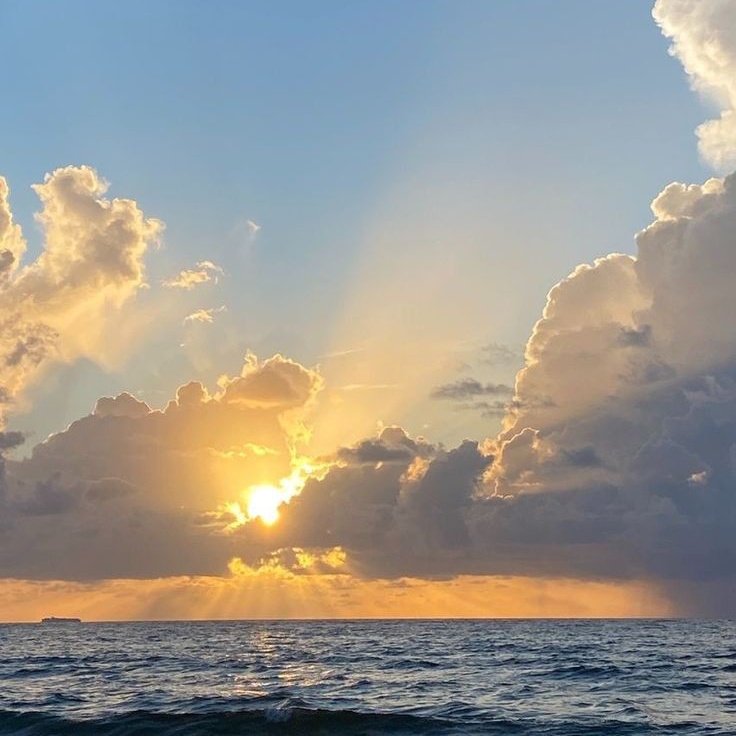 Good morning X creators
Happy Tuesday

may this day be filled with happiness, opportunities and blessings.