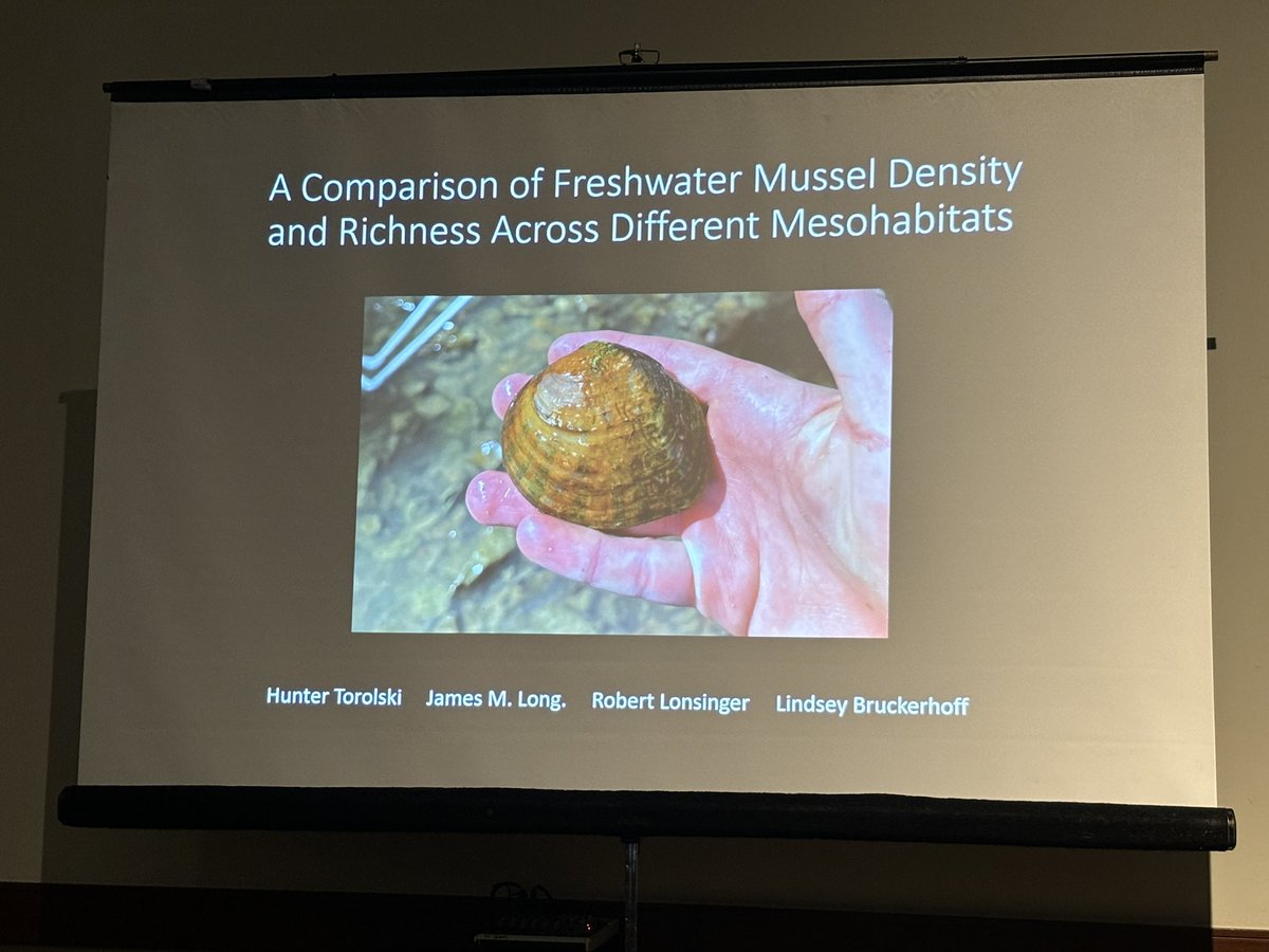 SingerMcCombs's tweet photo. Hunter Torolski up next #AFS154 on Oklahoma mussels in Verdigris River. Bringing quantitative surveys to the previous qualitative knowledge https://t.co/3oZ5pYsymt