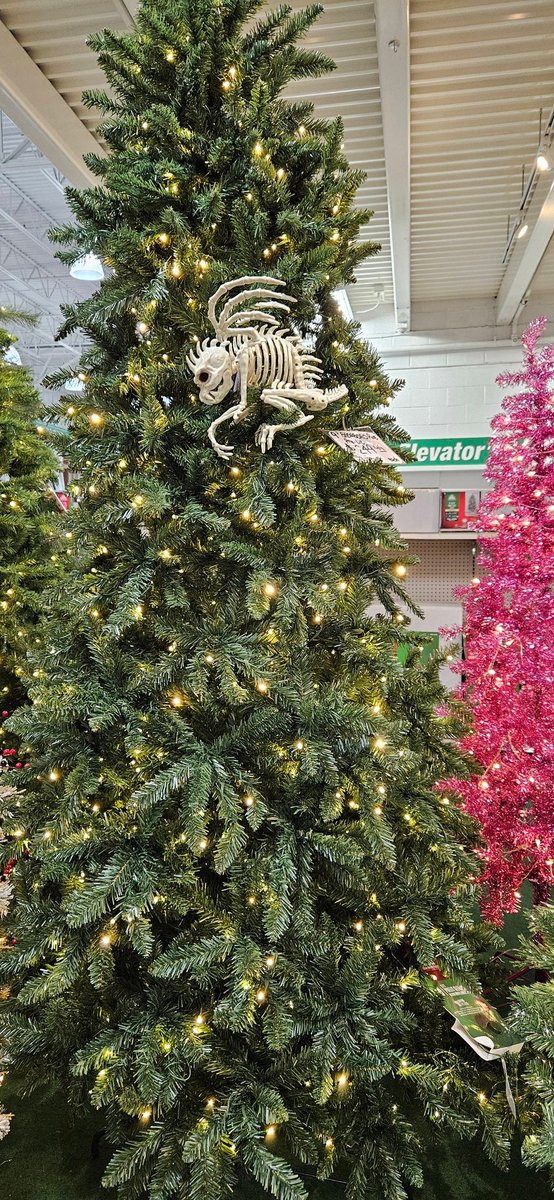 HauntedGrave's tweet image. If you&apos;re going to sell Christmas trees in September, Halloween people, like myself, will decorate them for you