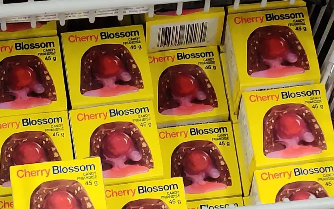 Maddy Eisenberg (she/her) tweet media