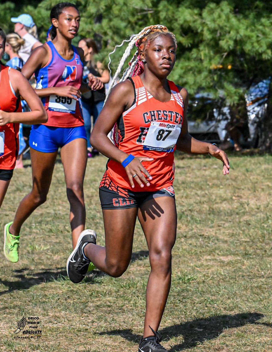 Chester Track & Field tweet media