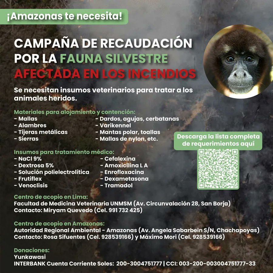 🚨Animales en peligro por incendios forestales: ¿cómo apoyar a la fauna afectada?▶️bit.ly/47wtOeQ

En Amazonas, uno de los departamentos más perjudicados por el fuego, se inició una campaña de recaudación para atender a la fauna silvestre afectada.