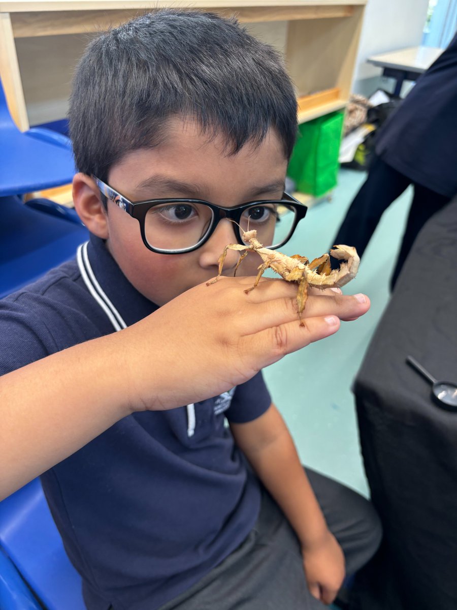 AIslamicCollege's tweet photo. Science in Action!

This term, our Kindy and Pre-Primary students at AIC Forrestdale have been diving into the fascinating world of Biological Sciences, and it's been an incredible learning journey!

#BiologicalSciences #ScienceLearning #CuriousMinds #HandsOnScience #STEM #AIC https://t.co/TaVlY25juN