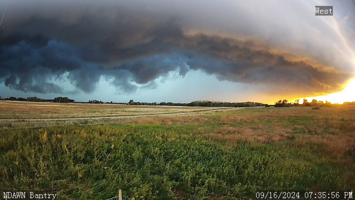 Cassidy Holth tweet media