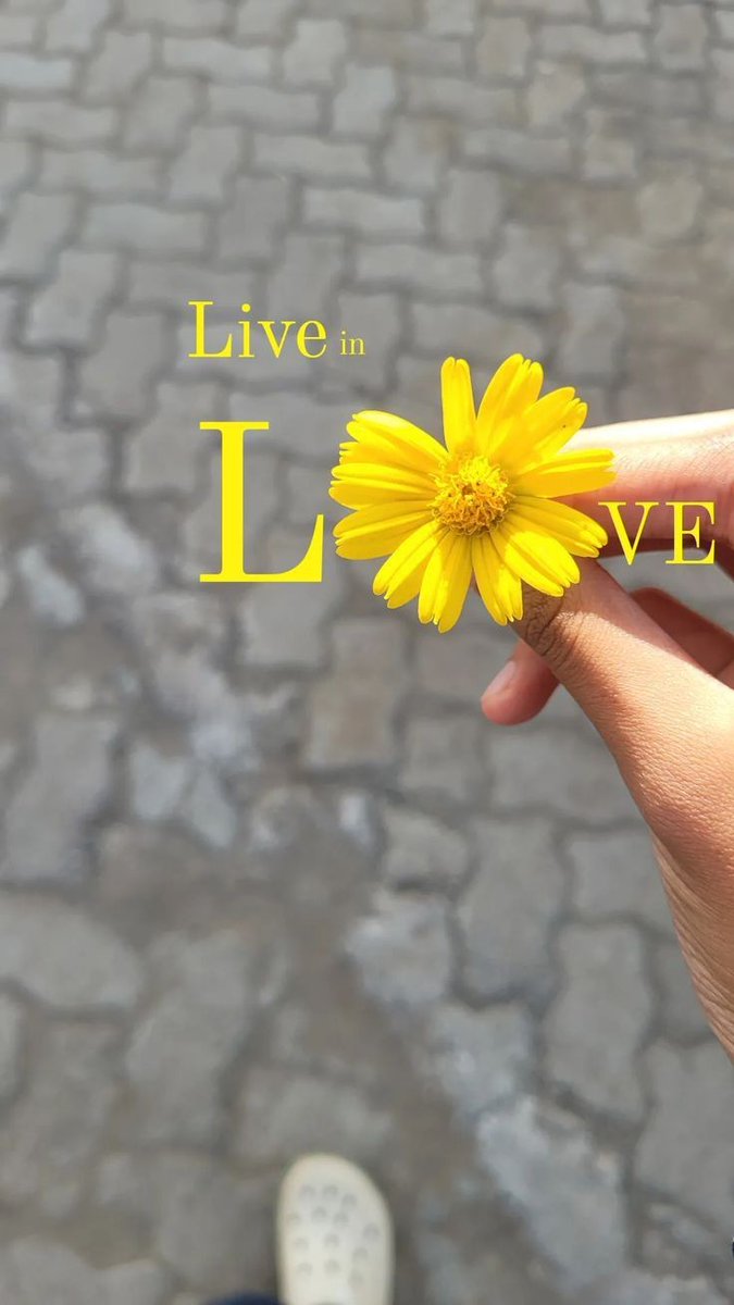 Kohled_Eyes_'s tweet photo. Good Morning 𝐗 Gems 🌼✨ https://t.co/3DYa7aQTPb