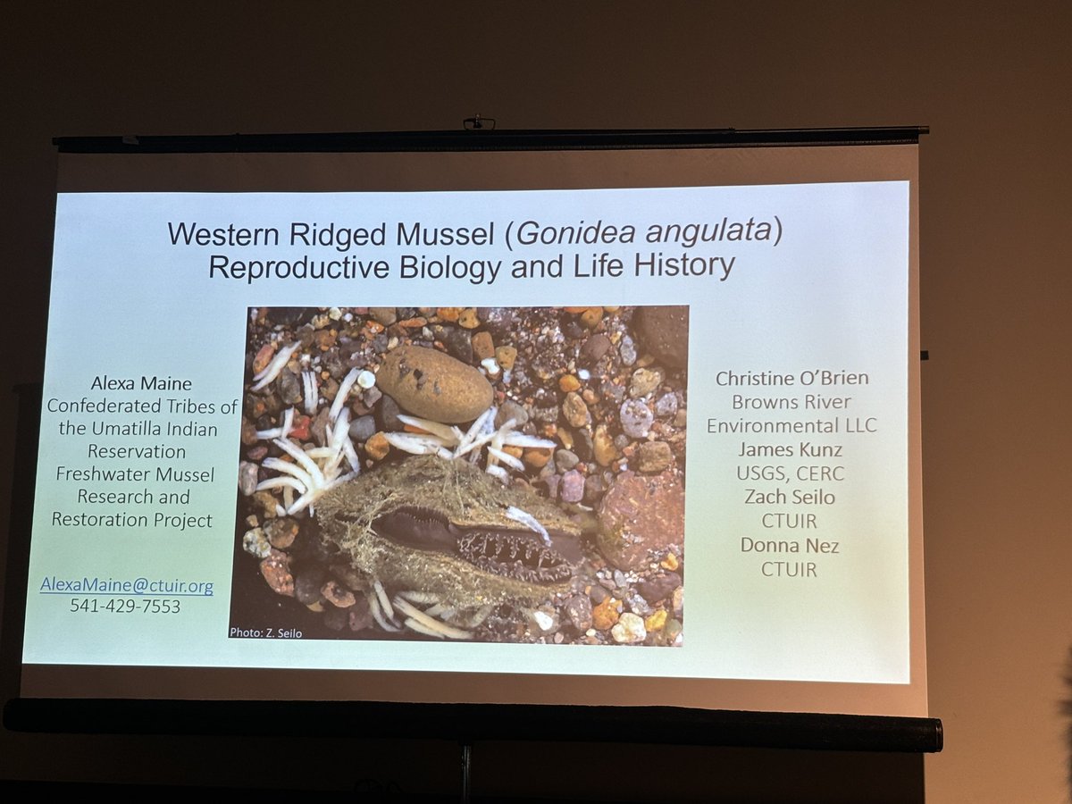 SingerMcCombs's tweet photo. Alexa Maine from Confederated Tribes of Umatilla Indian Reservation on Western Ridged Mussel #AFS154 https://t.co/VEg0PSUWsL