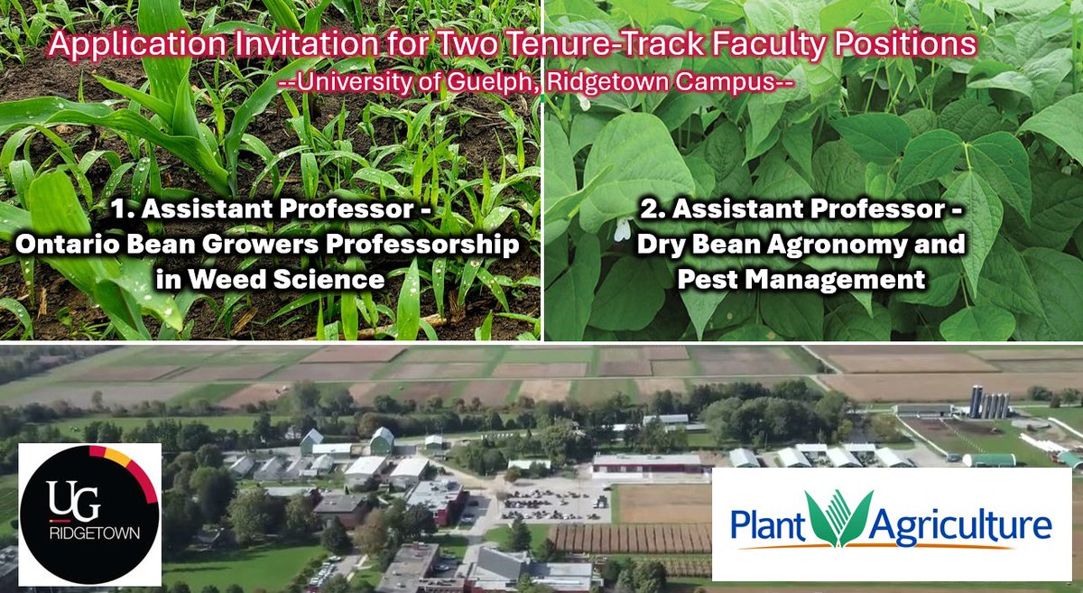 Dave Hooker (@cropdoc2) on Twitter photo Just posted! See the links below. Please retweet. cc: <a href="/RidgetownCampus/">Ridgetown Campus</a>
1. Assistant Professor - Ontario Bean Growers Professorship in Weed Science - careers.uoguelph.ca/job/Ridgetown-…
2. Assistant Professor - Dry Bean Agronomy and Pest Management - careers.uoguelph.ca/job/Ridgetown-…
cc: Just posted! See the links below. Please retweet. cc: <a href="/RidgetownCampus/">Ridgetown Campus</a>
1. Assistant Professor - Ontario Bean Growers Professorship in Weed Science - careers.uoguelph.ca/job/Ridgetown-…
2. Assistant Professor - Dry Bean Agronomy and Pest Management - careers.uoguelph.ca/job/Ridgetown-…
cc: