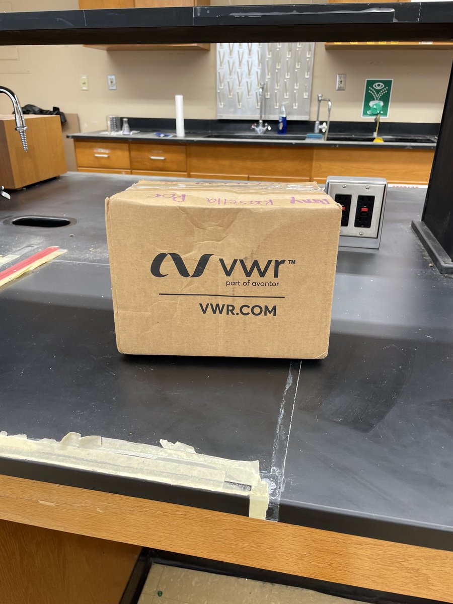 Amy Poe, PhD tweet media