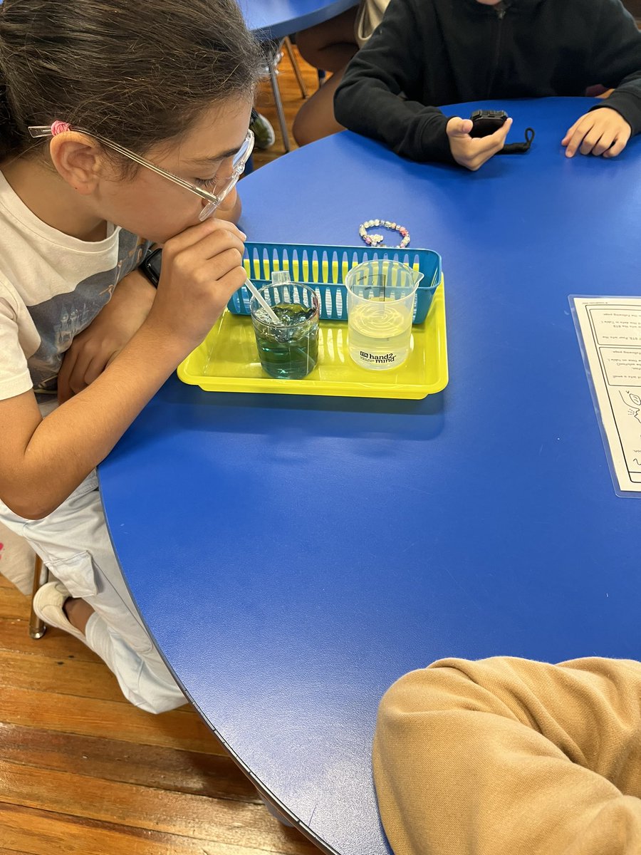 ms_nathanson's tweet image. Learning about cellular respiration and how cells breathe and use energy! #WeeLearn @WeehawkenTSD