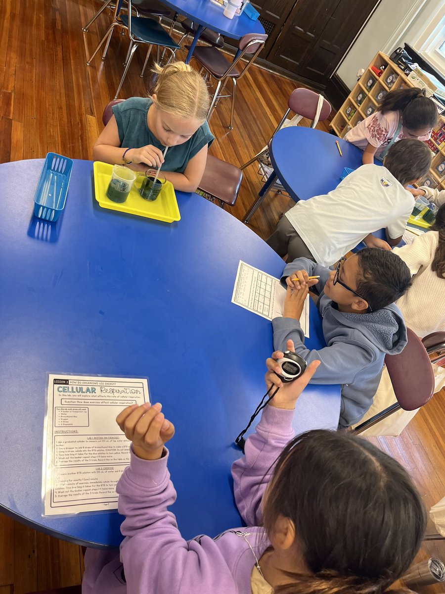 ms_nathanson's tweet image. Learning about cellular respiration and how cells breathe and use energy! #WeeLearn @WeehawkenTSD