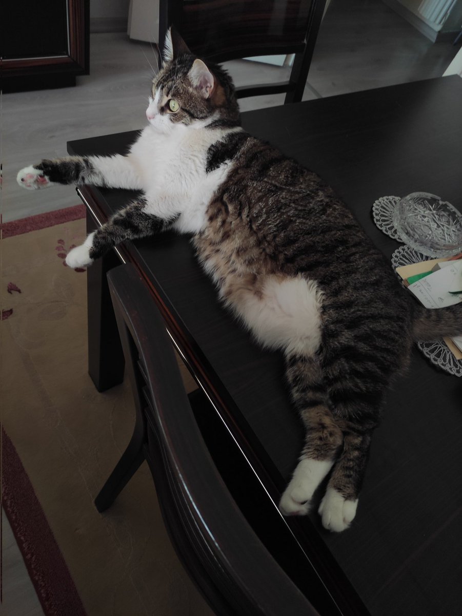 göbekimi saldım haberniz olsm