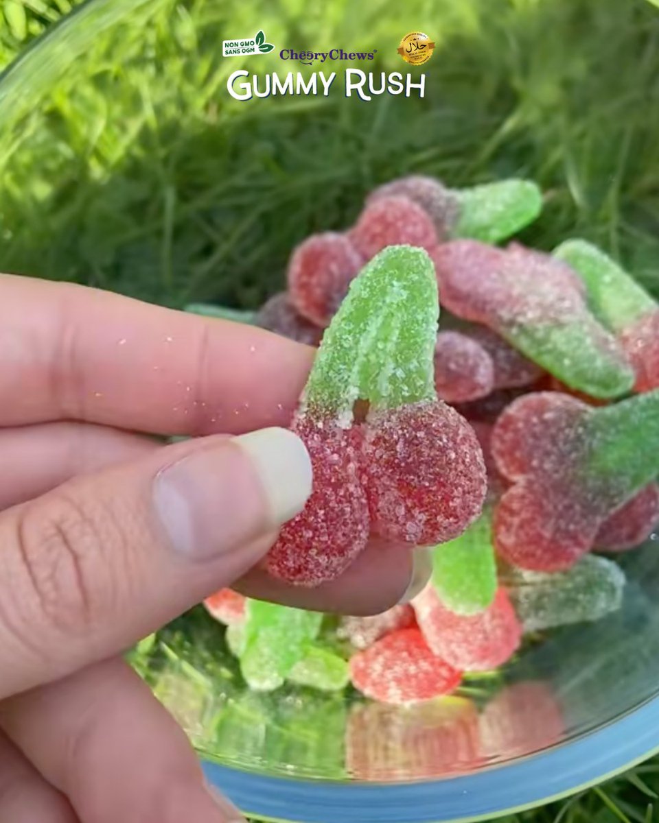 Oh so sweet and cherrilicious 🍒

🍬100% halal friendly🍬

Ready to stock Gummy Rush? Head over to our website!

#GummyRush #SweetPacks #FizzySweets #HalalSweets #HalalFinds #HalalUK #SweetsUK #UKSnacks #SnackReviews #GummySweets #NaturalSweets #halalfood #halalfoodie