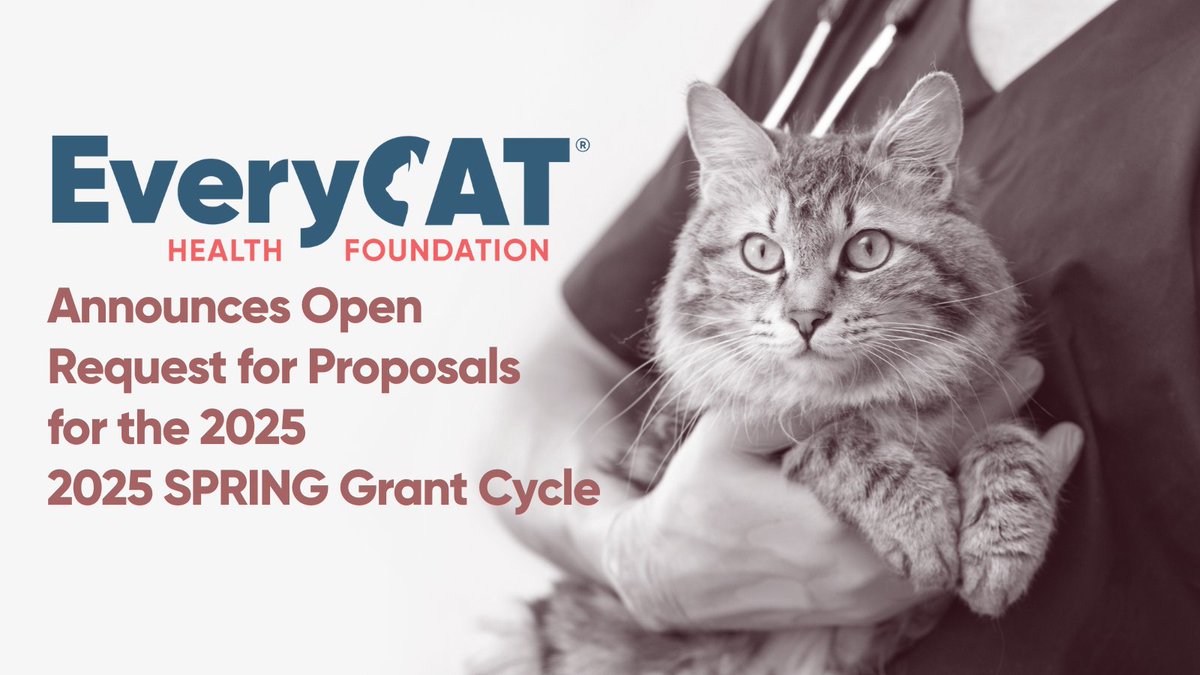 EveryCat Health Foundation announces their 2025 SPRING Request for Proposals.
Deadline to apply is December 13, 2024
Awards will be announced in May, 2025
everycat.org/the-latest/gra…

#researchsaveslives #everycathealth #cathealth #cat #cats #felinehealth #felinemedicine
