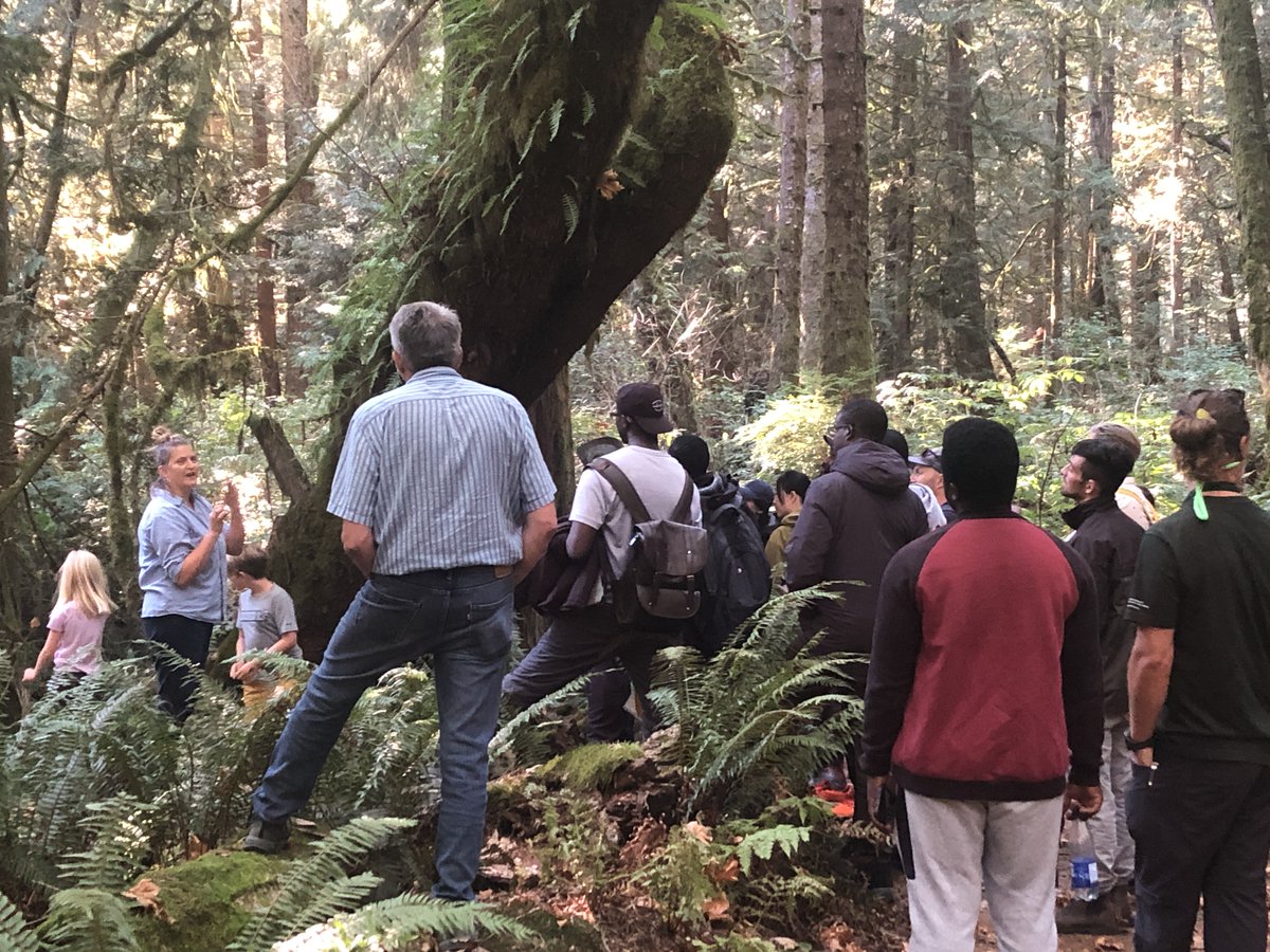Great field trip for @ubc_frorestry <a href="/MIF_UBC/">MIF_UBC</a> students organised by the Sunshine Coast Community Forestry Initiative (sccf.ca) looking at various management practices on the aptly-named Sunshine Coast BC. It was a glorious day!