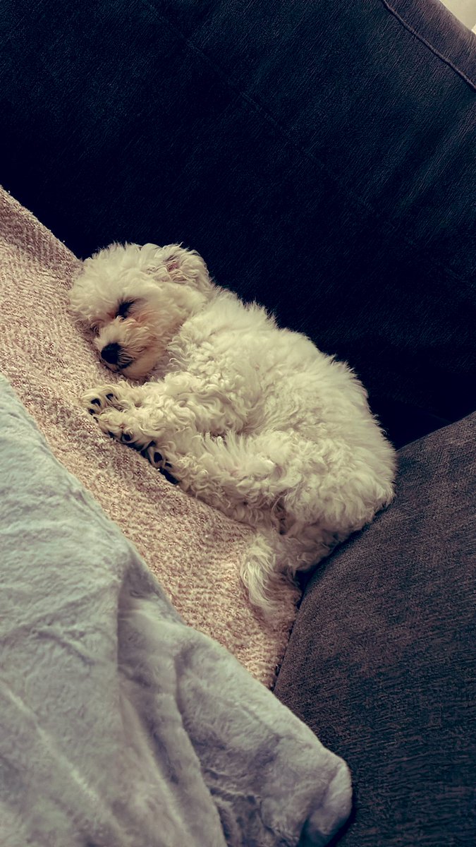 MrBootymanYates's tweet photo. Say hello to my little friend ❤️ https://t.co/reWxkk2uK6