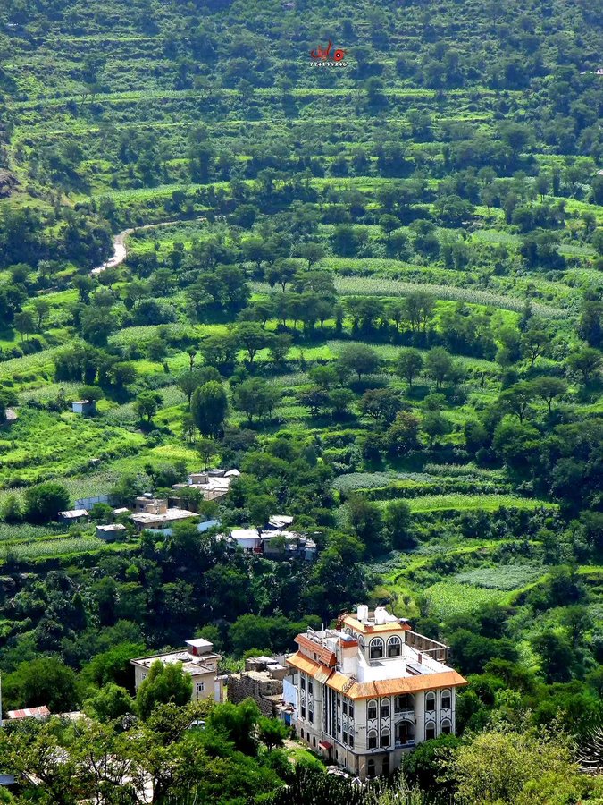 its_yemen's tweet image. Ibb, Yemen