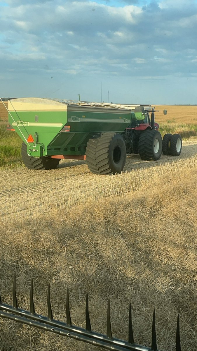 Rossel Marion tweet media