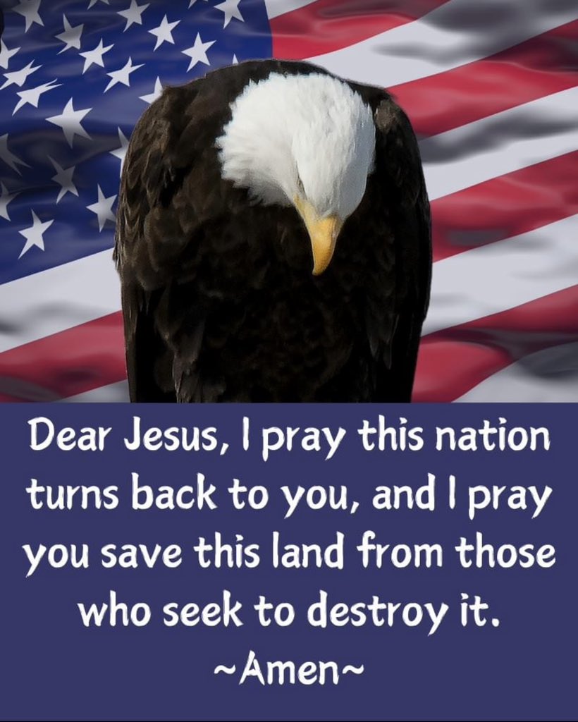 Did you know that Bald Eagles are atheists? They never pray. Ever! They will also eat your pets if they get a chance. They'll eat them right in your backyard too. Everytime you put your pet outside, a Bald Eagle is watching. #America #prayer
