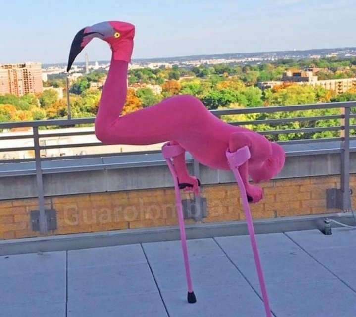 *Se cancela la fiesta de disfraces*

Yo: