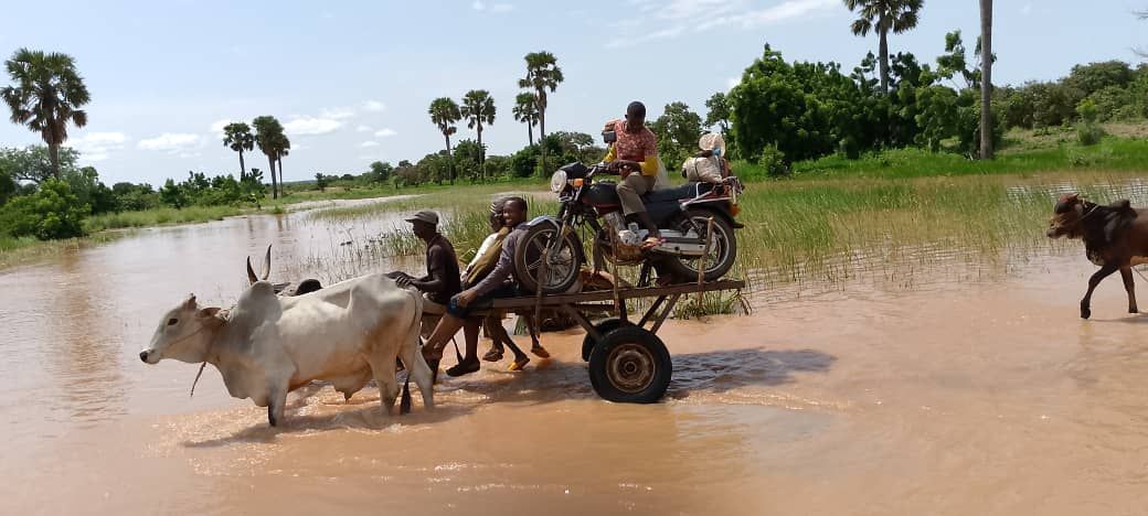 IFDCNWAF's tweet photo. In August 2024, #2ScaleScalingUp project funded by @USAID in Niger carried out an assessment to monitor the application of fertilizers based on statistical analysis in the test fields across Dosso, Maradi, and Tahoua regions. #AgriculturalDevelopment #FieldEvaluation
@IFDCGlobal https://t.co/iSl6XRVQYw