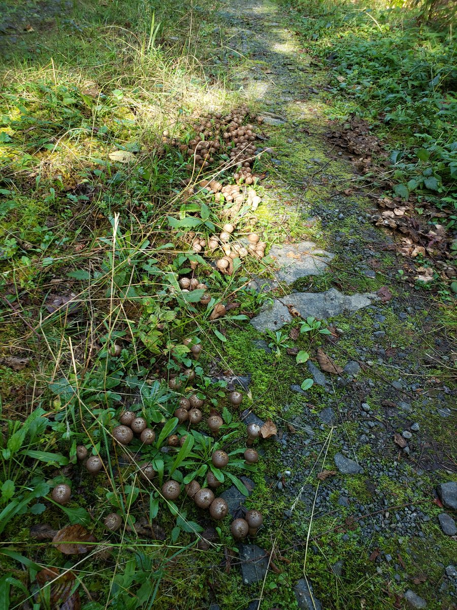 Craig Orr tweet media