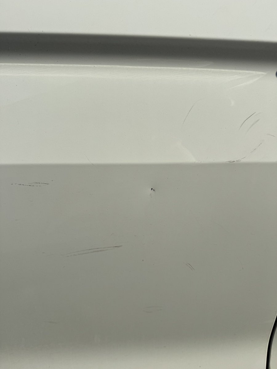 Brittany Bortolon tweet media